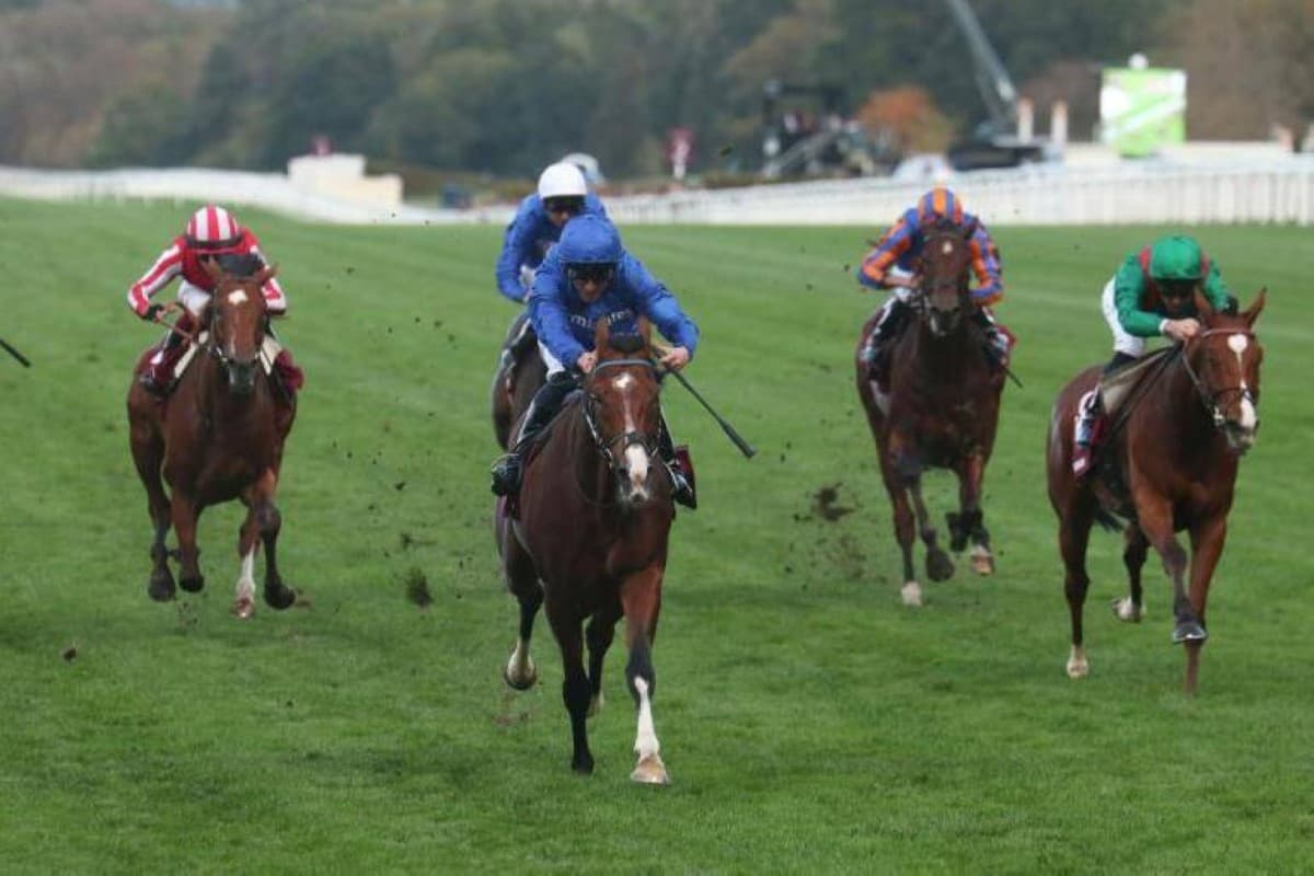 Ampoudsman Leads UAE Horses at Day of Champions