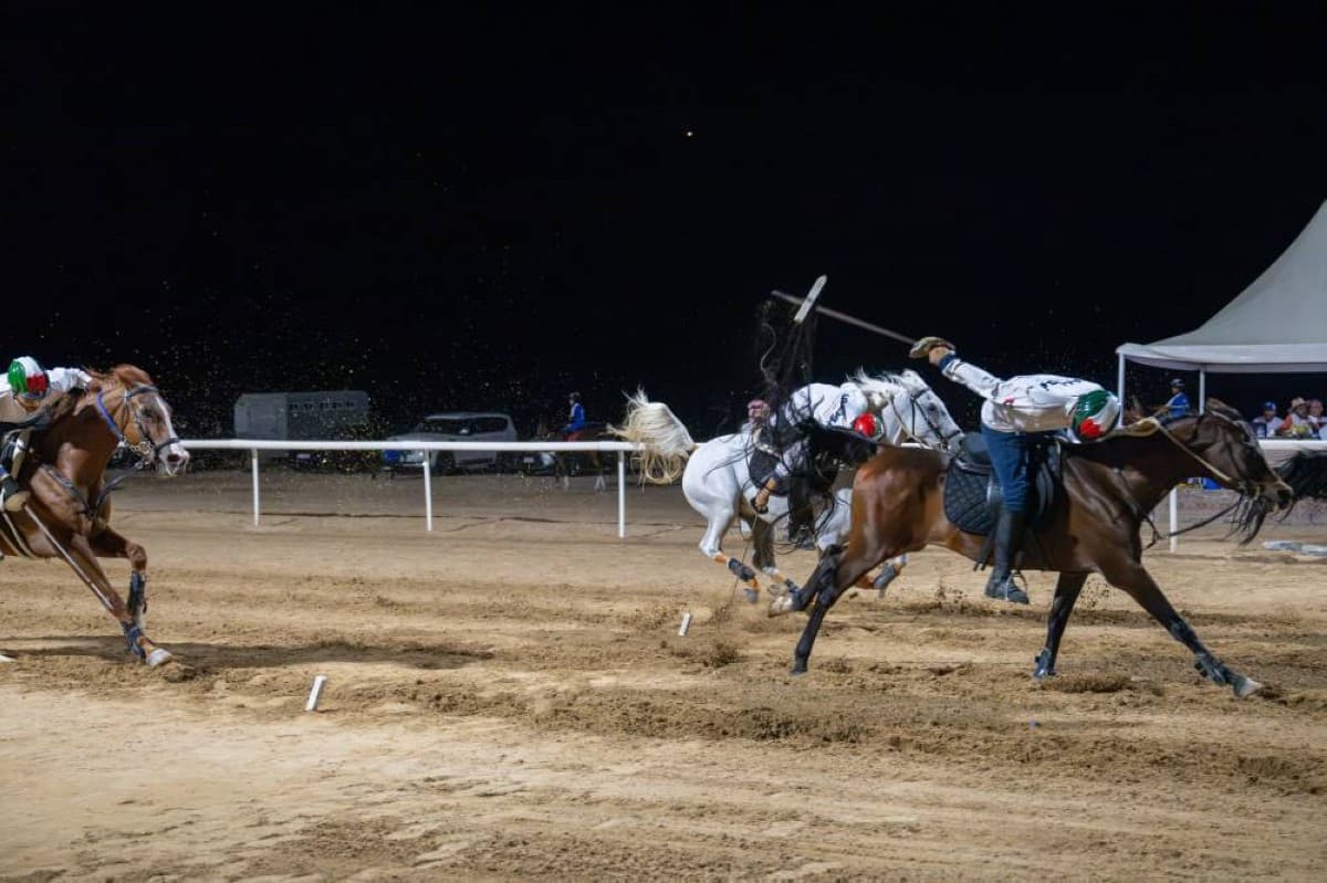 Equestrian Federation launches Citizens' Pole-throwing Contest
