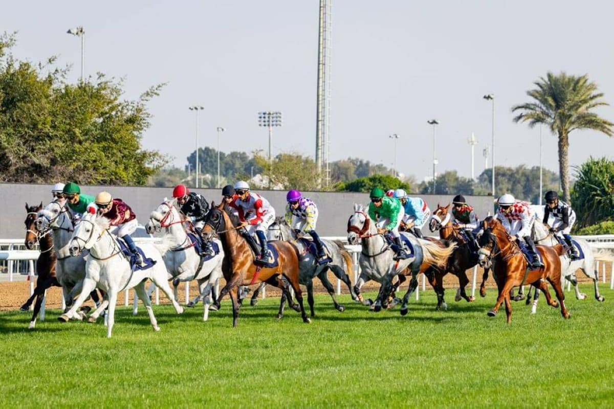 مضمار أبوظبي يطلق الموسم الوطني لسباقات الخيل