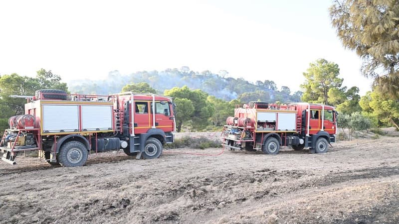 Jendouba fire in Blatta Bouaouan controlled