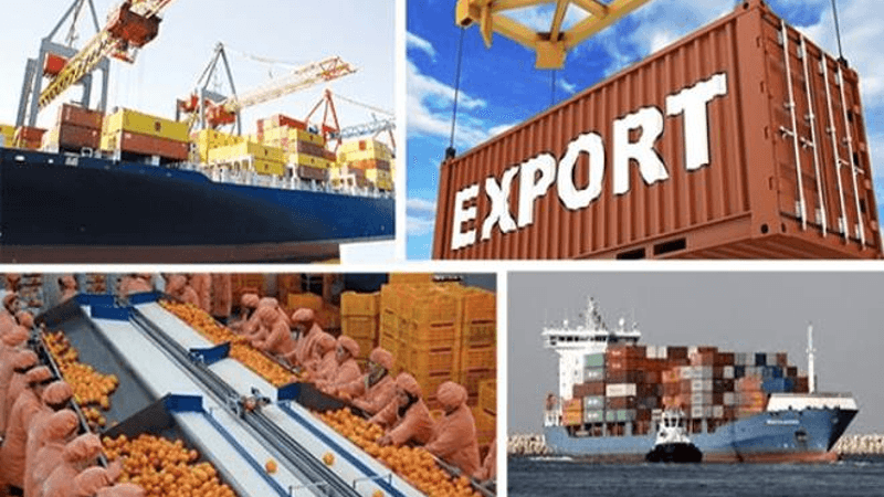 زيادة الصادرات التونسية بنسبة 8% حتى أغسطس