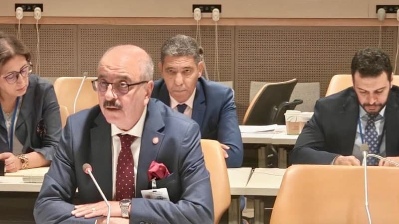 وزير الخارجية يحضر اجتماع منظمة التعاون الإسلامي بشأن مسلمي أوروبا