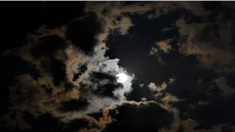 Tonight's forecast: Heavy rain and storms in these regions