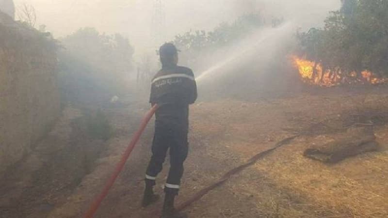جهود مستمرة لإخماد حريق جبل بولمان