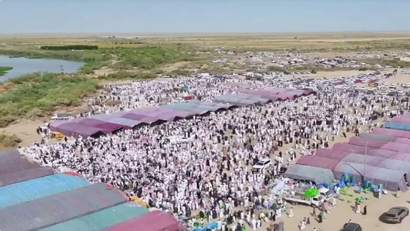Iraq wedding with sheep and camels causes debate