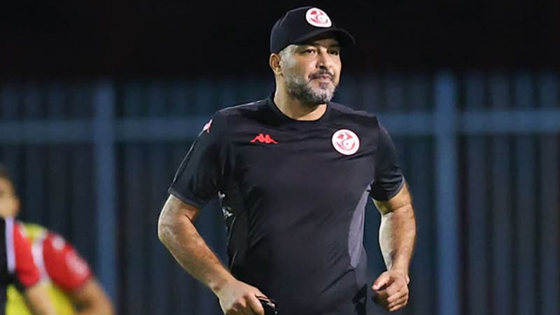 Moein El-Shabani leaves national team oversight