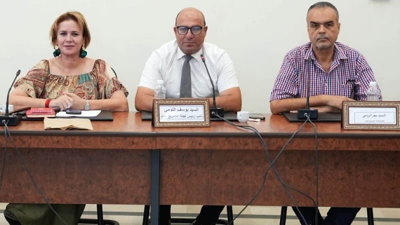 Parliament Committee Approves Tax Advisor Draft