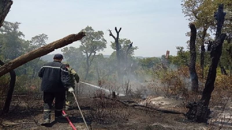 Barqou controls fires, continues cooling