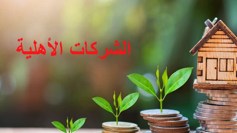 Riyad Shawwid Aims for 1,200 Private Firms