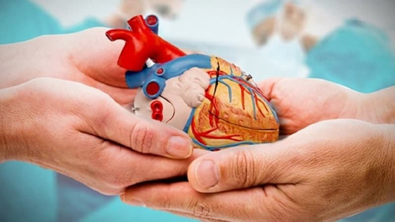 Tunisia marks Organ Donation Awareness Day