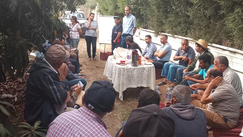 بني خلاد: علاج بيولوجي لذبابة القوارص