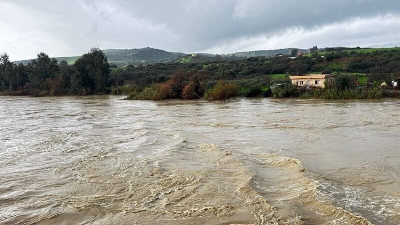 Kasserine: Search resumes for missing Algerian