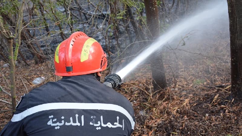 سليانة: تدخل وحدات الحماية لمكافحة حريق جبل مزاتة