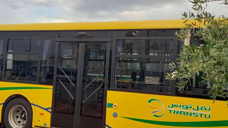 Tunis Transfer Adds Wardiya to Barcelona Route