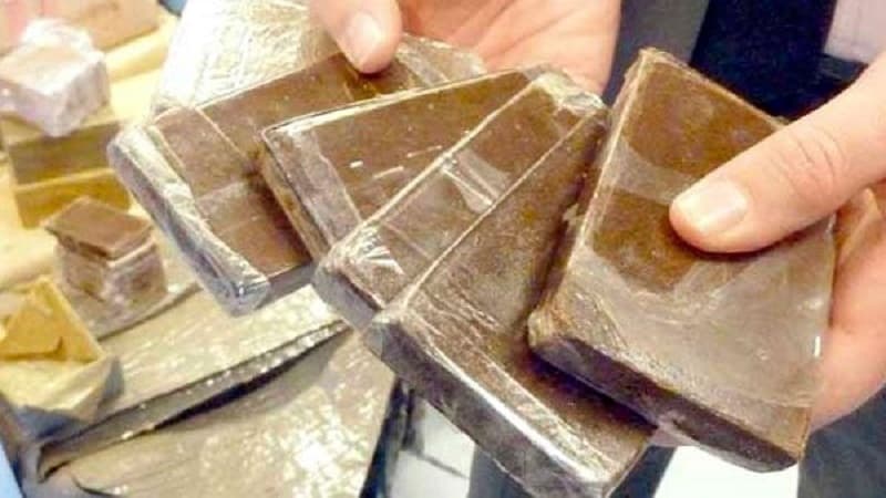 Ghar al-Damaa drug network bust