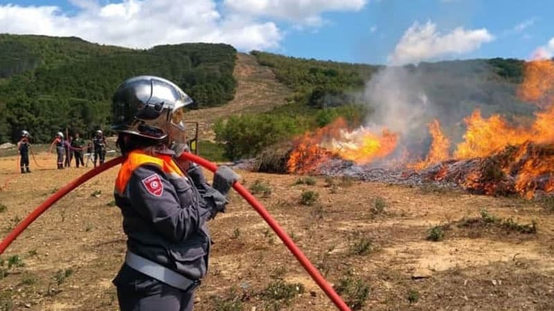 Sawaaf: Fire at Kaf Al-Hajj Burns 3 Hectares