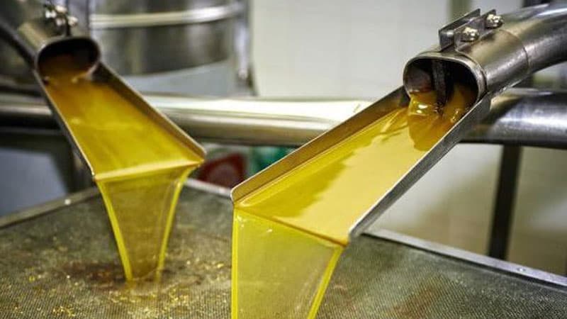 Finance bill allocates 100B for olive oil