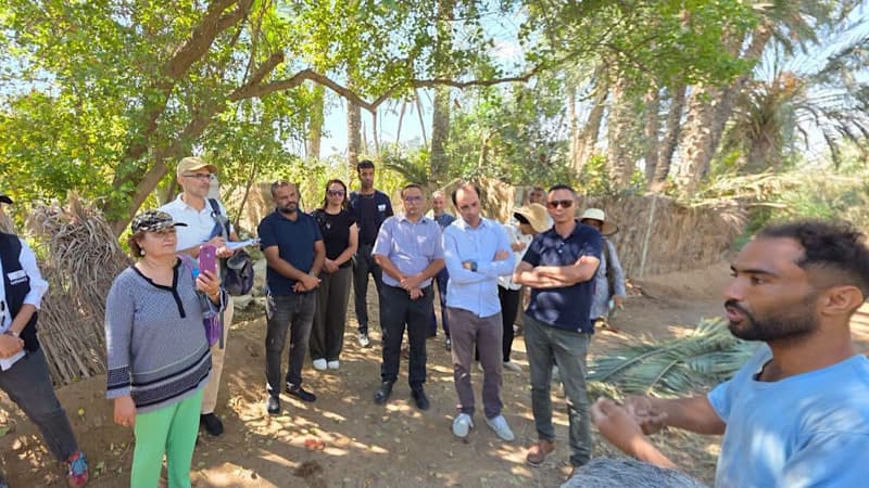 UNESCO Team Visits Gabes Oasis