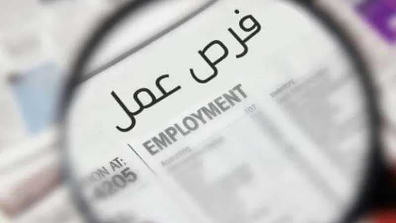 اقتصاد 2025 يخلق 14 ألف وظيفة