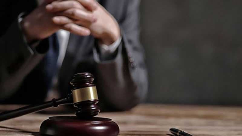 النيابة تحقق في فيديو اعتداء على قطة