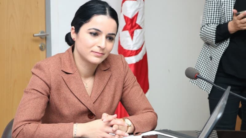 الحكم بالسجن أربع سنوات وتغريم ألفة الحامدي