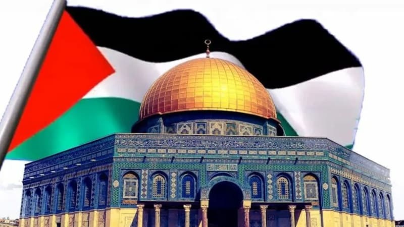 Global Crisis: Support for Palestine