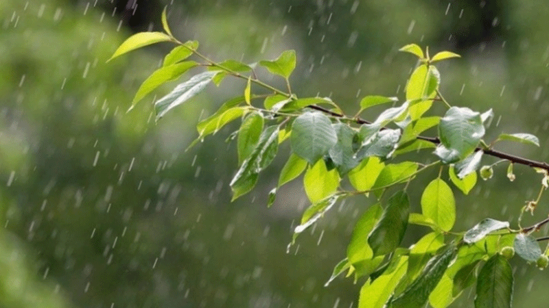 Today’s weather: Cooler temps and rain in regions