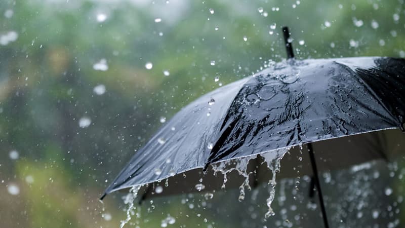 Thunderstorms and heavy rain expected