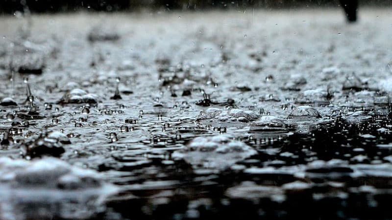 Today: Heavy rain and cooler temperatures