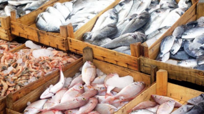 Seafood trade balance shows surplus
