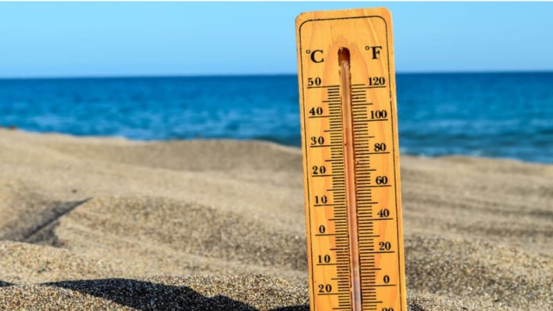 Global sea surface temps hit new high