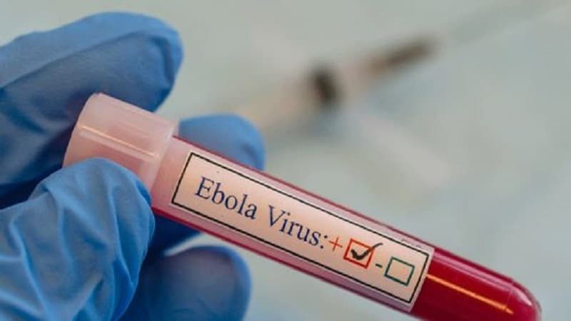 Ebola Cases Exceed 6000 in Congo