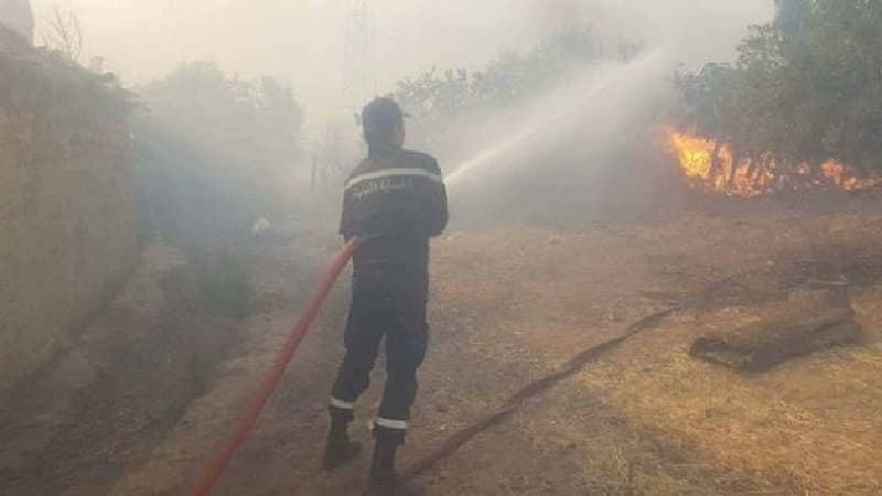 More forested land impacted by fires