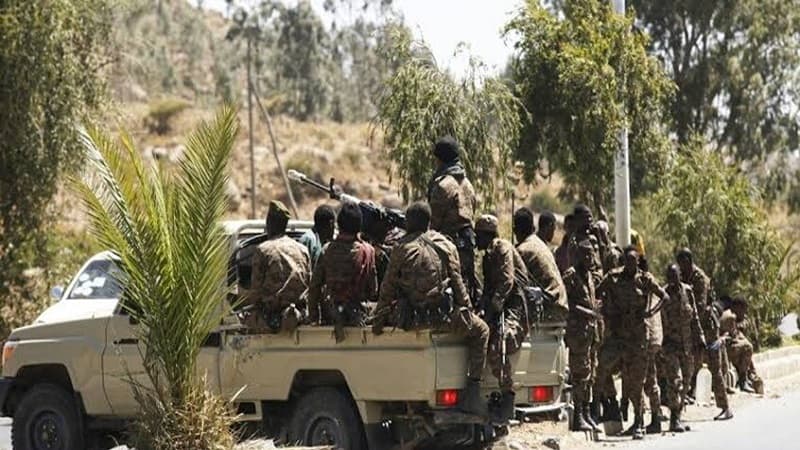 Seven armed groups unite to challenge Ethiopian government