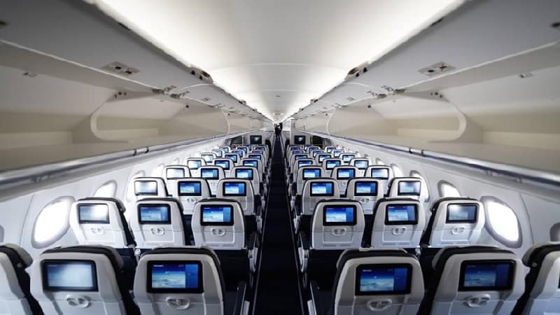 Arab plane passenger steals item