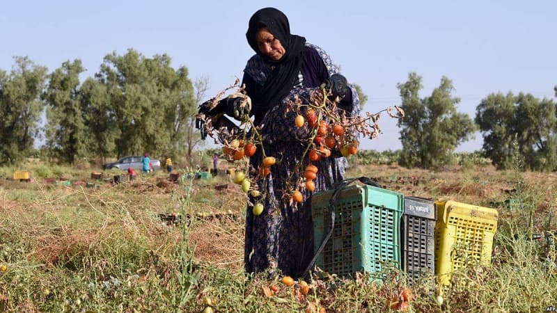 Women Farmers Reflect on Challenges on Women's Day
