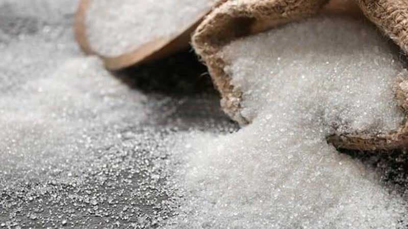 Start of Tunisia sugar industry study