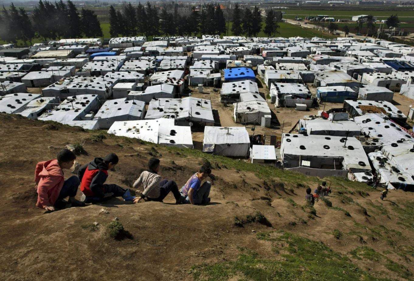Gaza and Al-Manara Shelter Removals