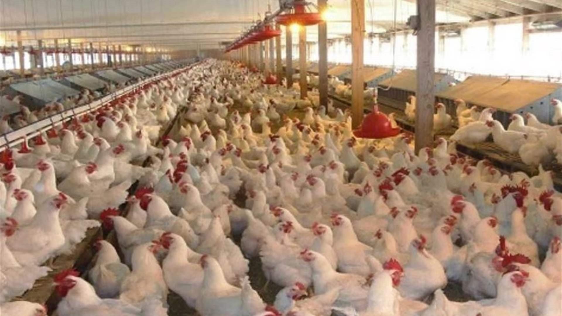 نقابات تهدد بزيادة الأسعار