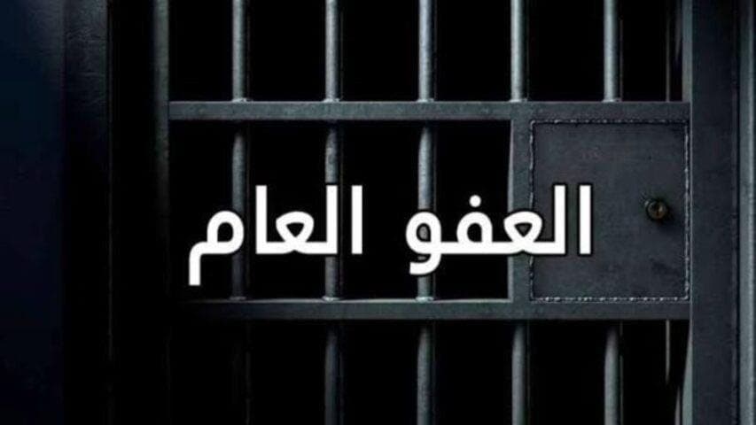 Judicial and Security Readiness for Amnesty Law