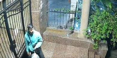 Neighborhood theft caught on camera