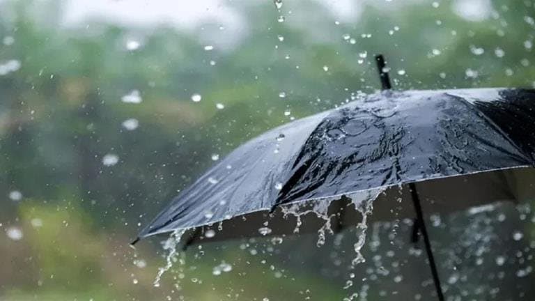 Upcoming Weather Forecasts and Rain