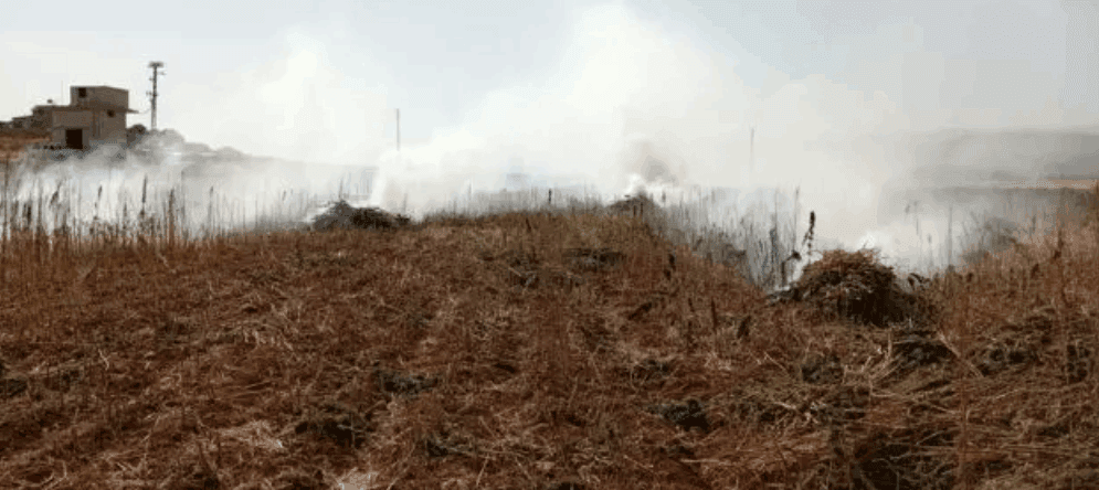 Baalbek's 60-Day Cannabis Issue