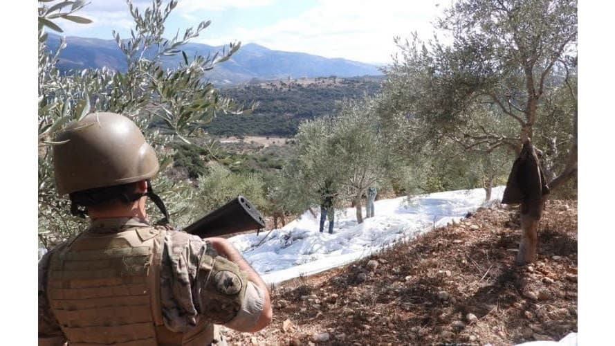 الجيش يدعم قطف الزيتون في راشيا الفخار