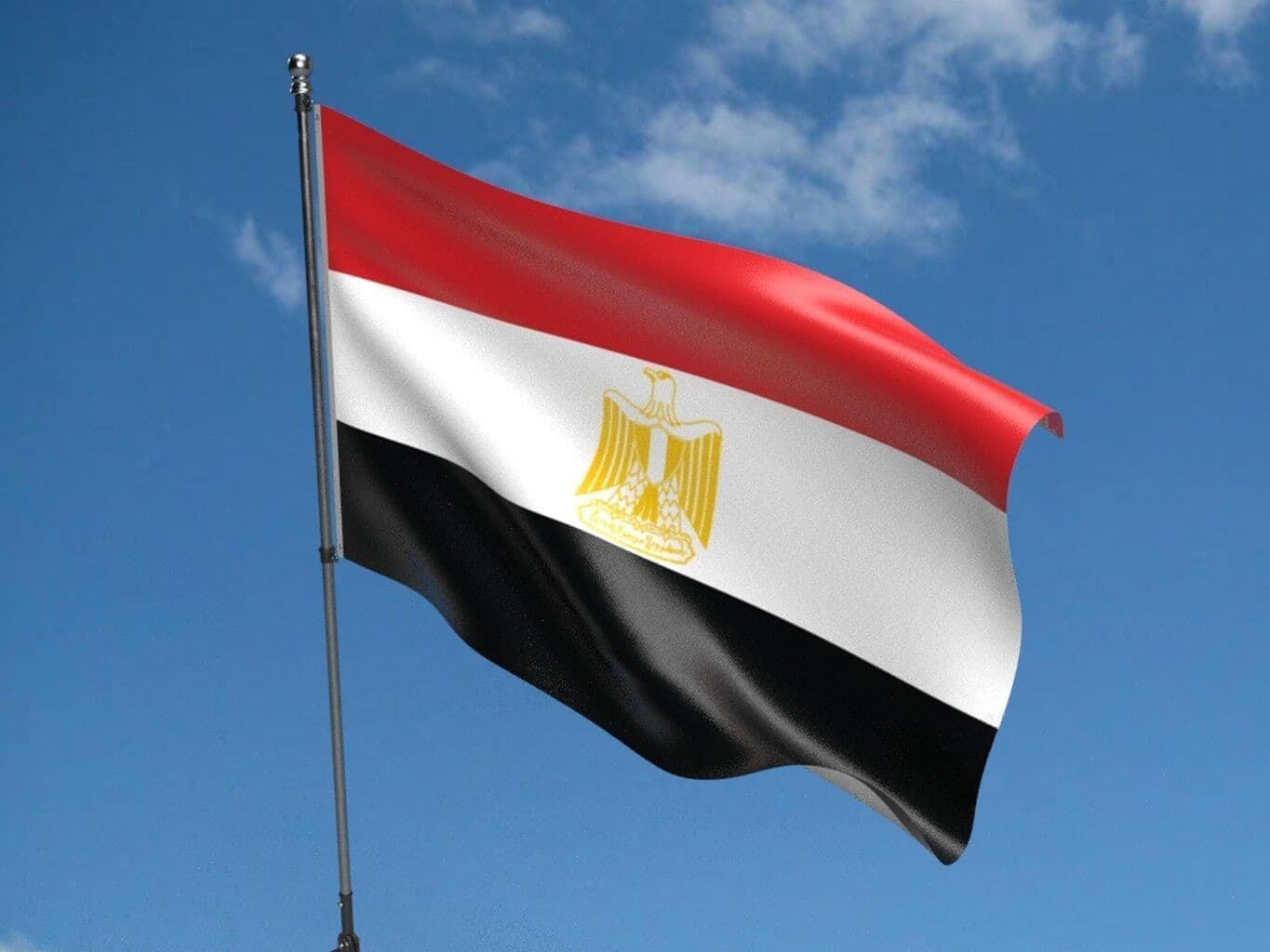 Egypt Defense Council approves troop deployment to Saudi Arabia