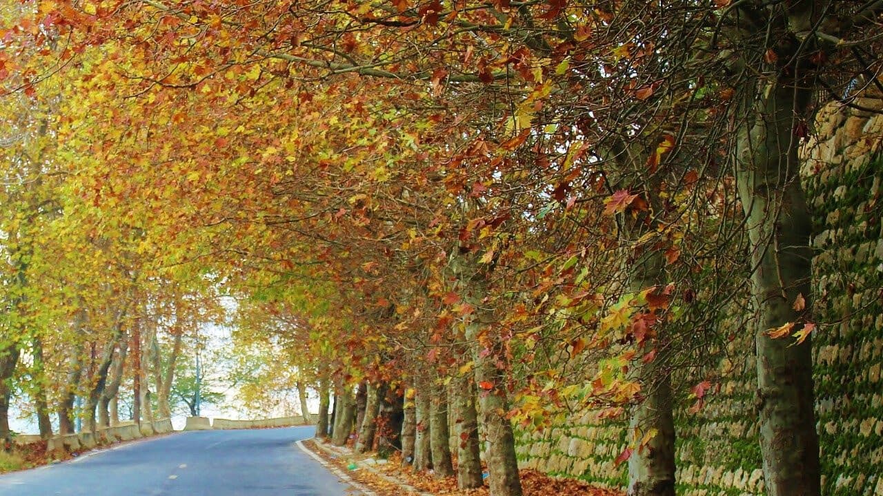 Weekend weather to improve tomorrow