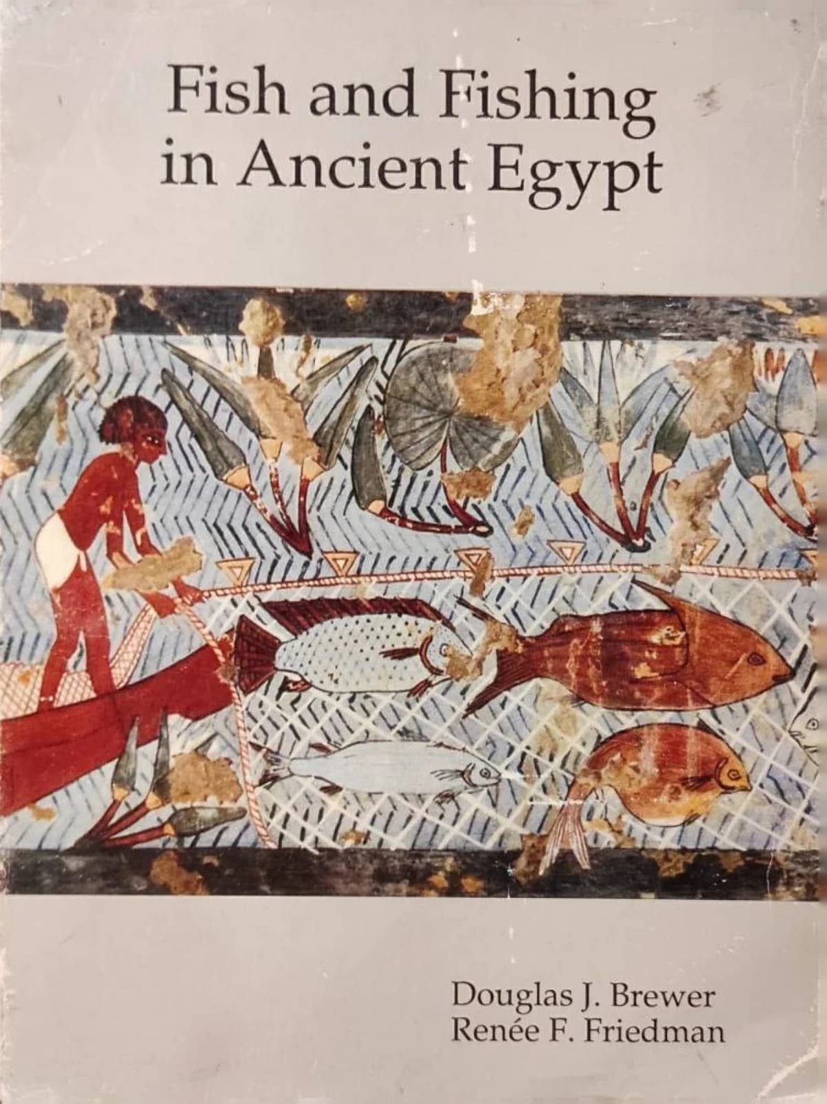 المصري القديم وحياة النيل