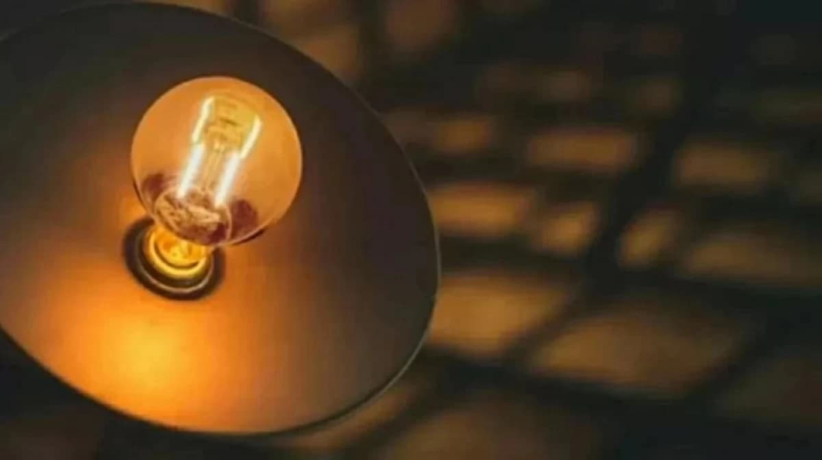 إشعاع دبلوماسي من حكمة الإمارات