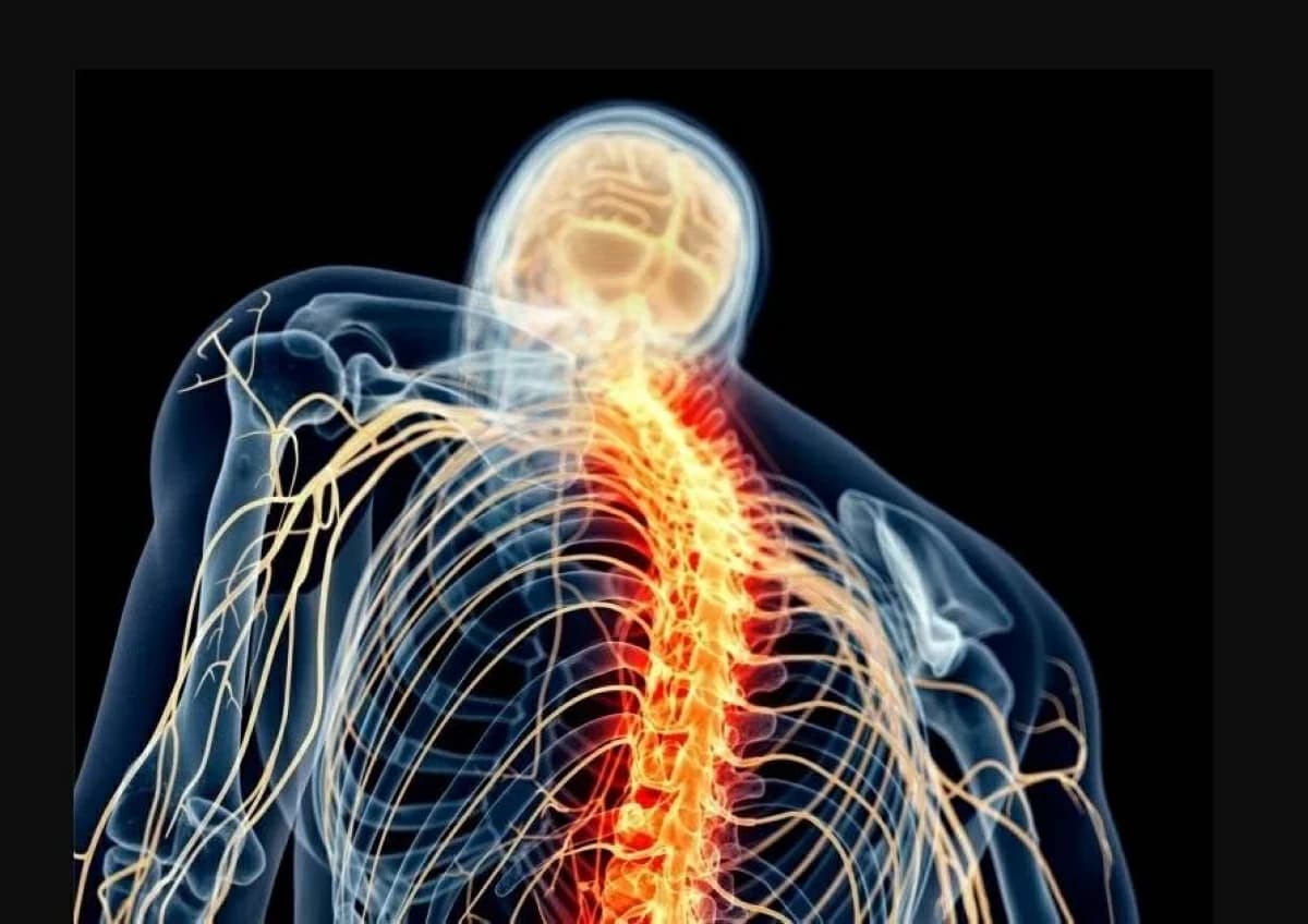 أجسام مضادة تقلل ألم الأعصاب