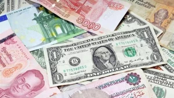 حملة تضبط تهمتي النقد الأجنبي بقيمة 42 مليون جنيه